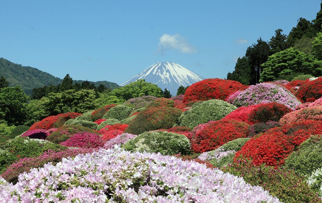 Suikoukan Hakone Ngoại thất bức ảnh